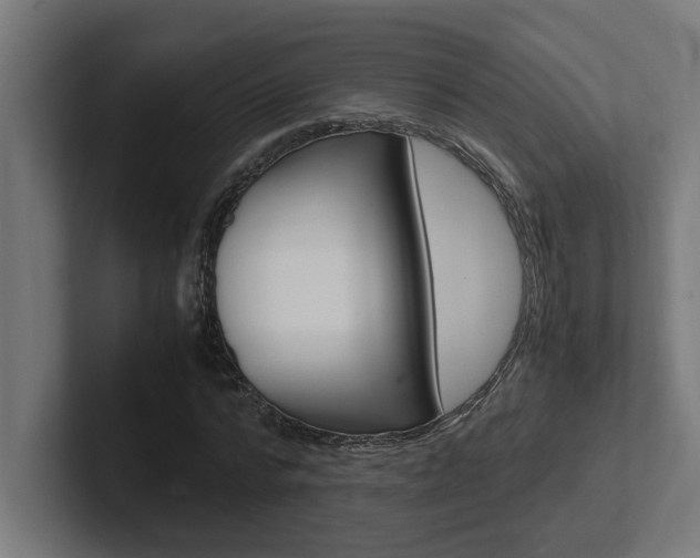 X0000102390776200808010934