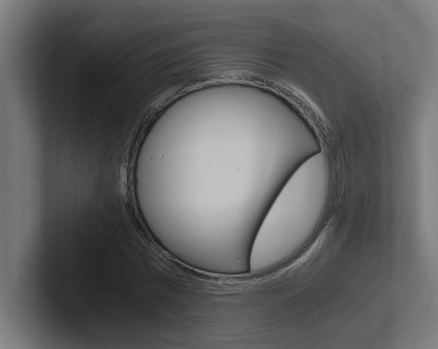 X0000102390777200808010934