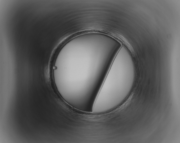 X0000102390780200808010934