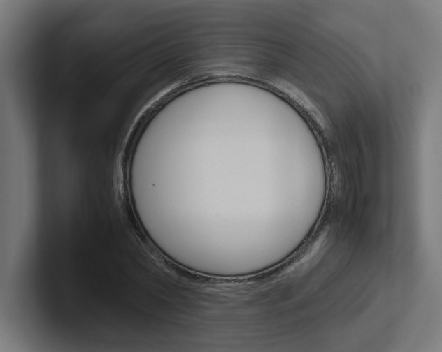 X0000102390782200808010934