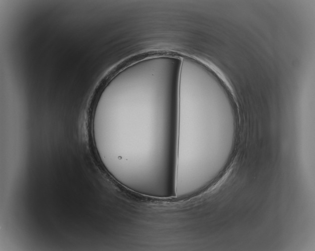 X0000102390783200808010934