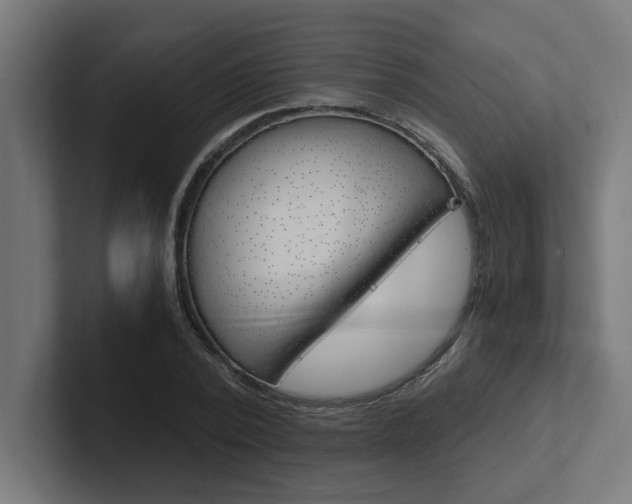 X0000102390784200808010934