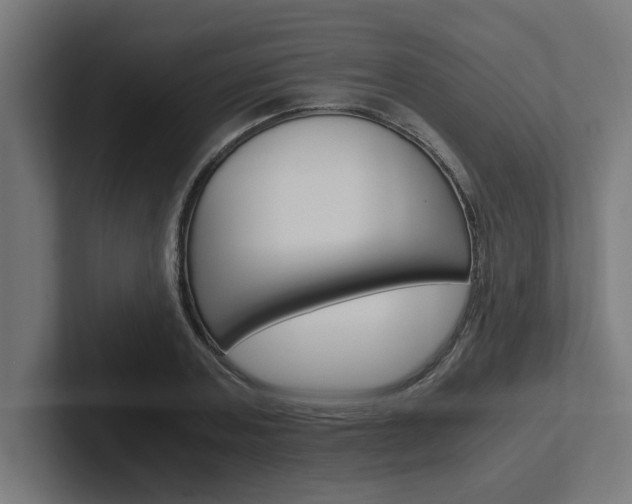 X0000102390787200808010934