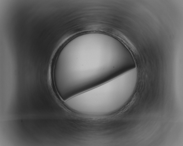 X0000102390788200808010934