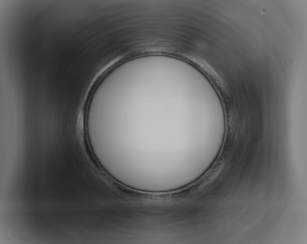 X0000102390790200808010933