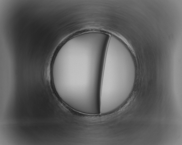 X0000102390791200808010933
