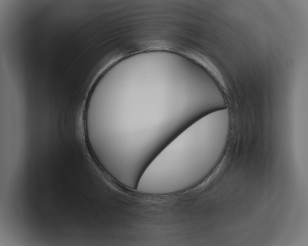 X0000102390806200808010933