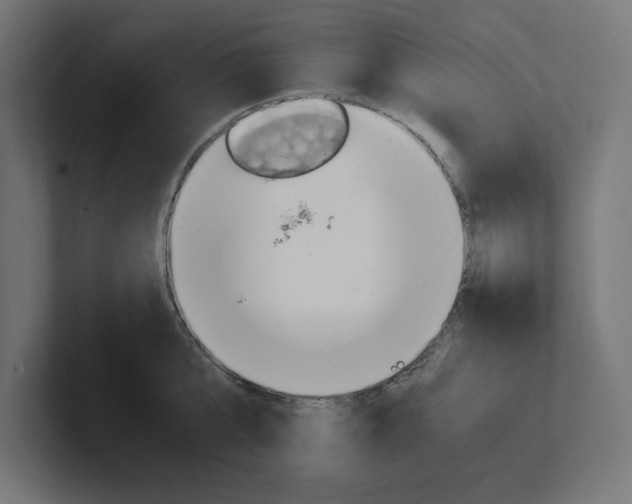 X0000102390807200808010933
