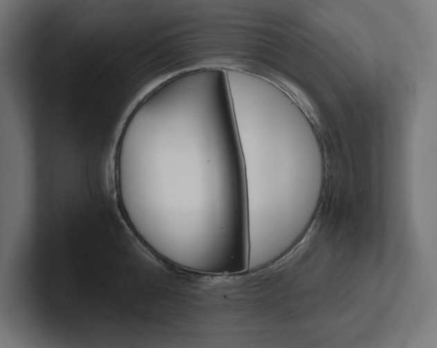 X0000102390808200808010933