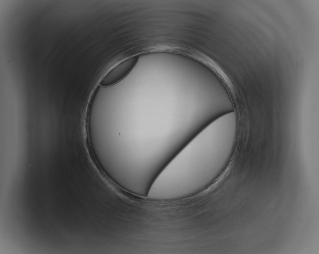 X0000102390810200808010933