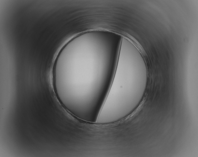 X0000102390812200808010933