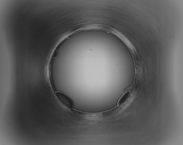 X0000102390813200808010933
