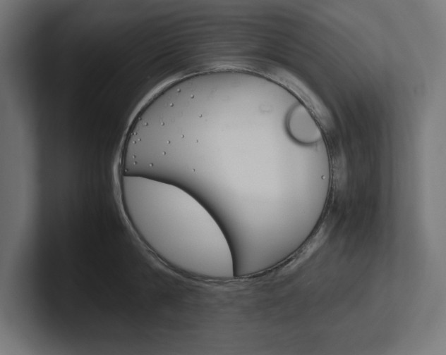 X0000102390814200808010933