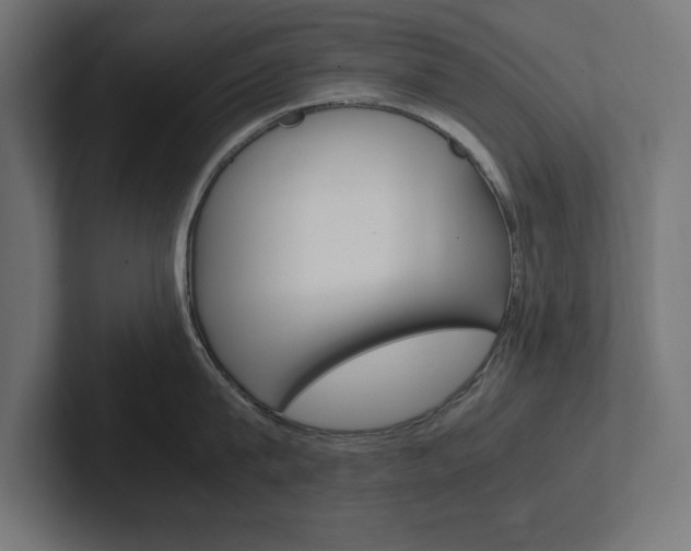 X0000102390815200808010933