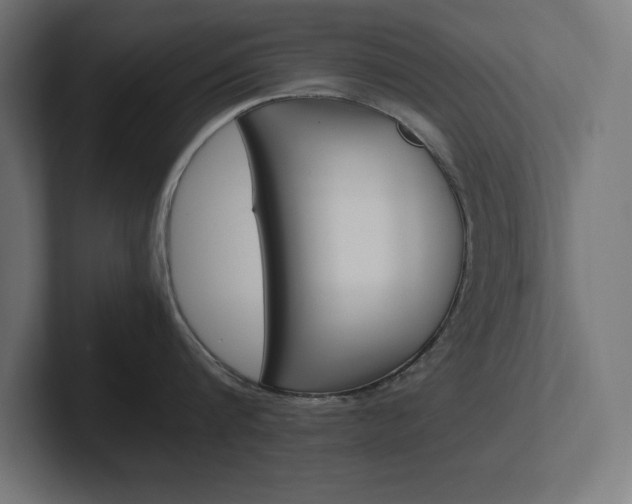 X0000102390816200808010933