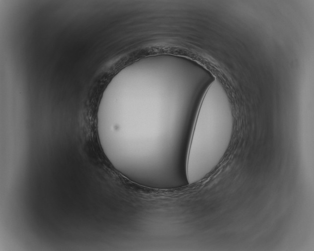 X0000102390822200808010933