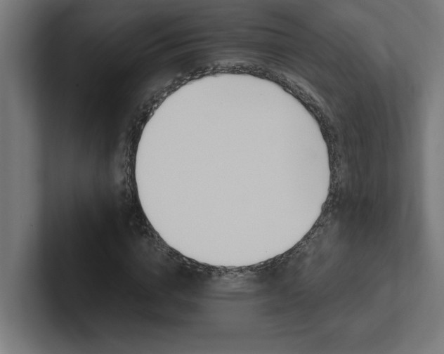 X0000102390824200808010933