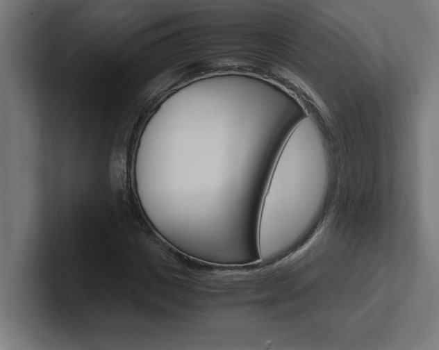 X0000102390825200808010933