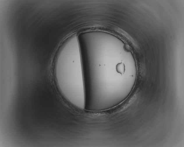 X0000102390826200808010933