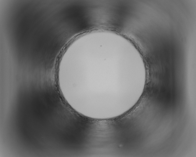 X0000102390828200808010933