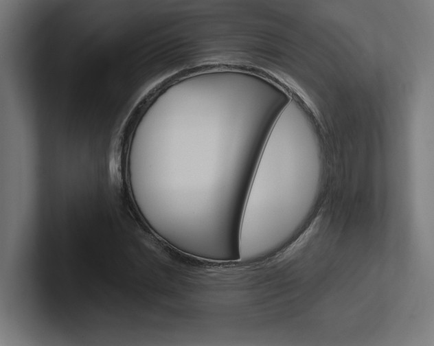 X0000102390830200808010933