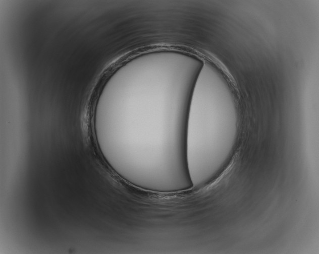 X0000102390831200808010933