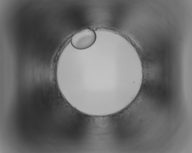 X0000102390832200808010933