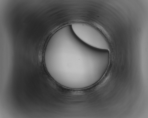 X0000102390833200808010933