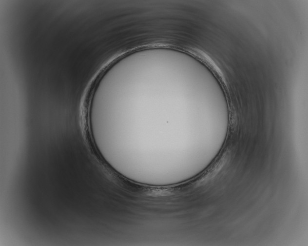 X0000102390835200808010933