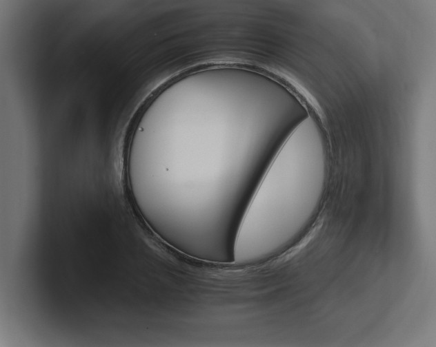 X0000102390837200808010933