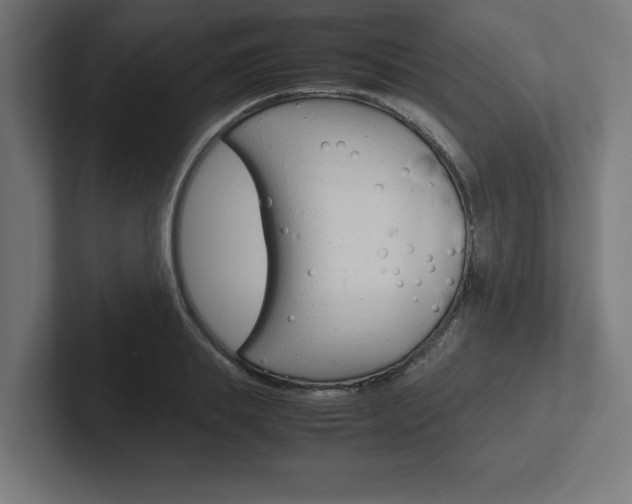 X0000102390839200808010933