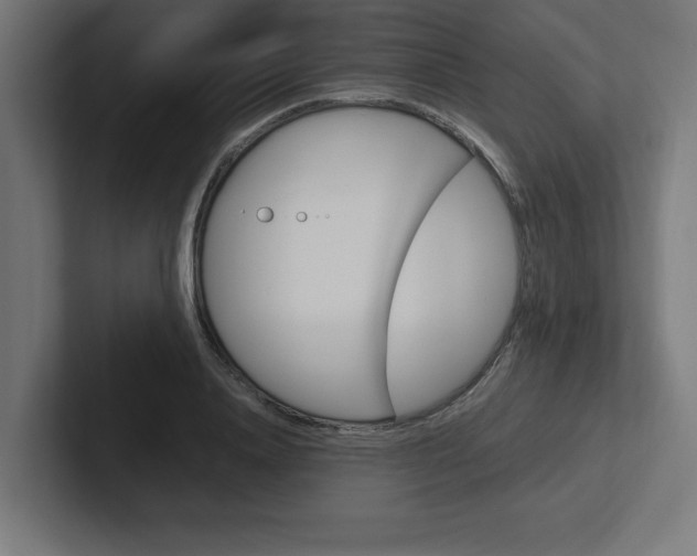 X0000102390840200808010933