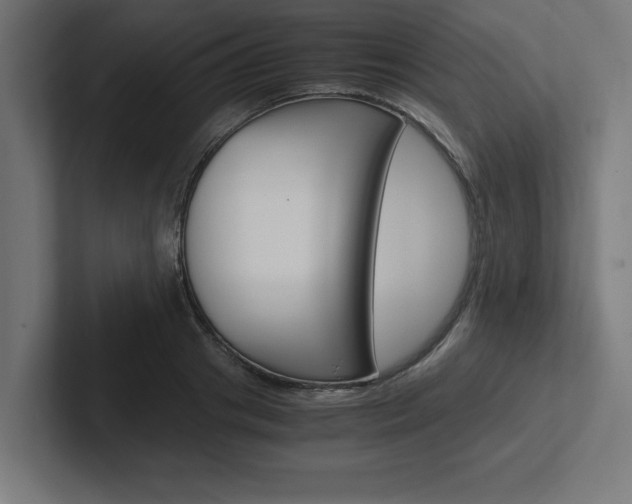 X0000102390841200808010933