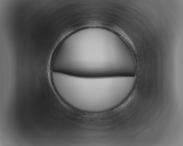 X0000102390845200808010933