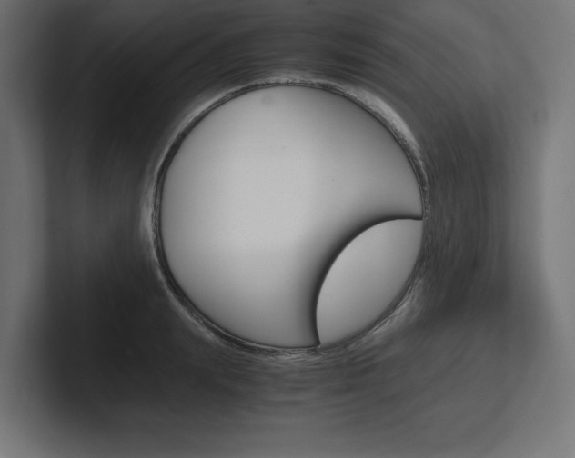X0000102390847200808010933