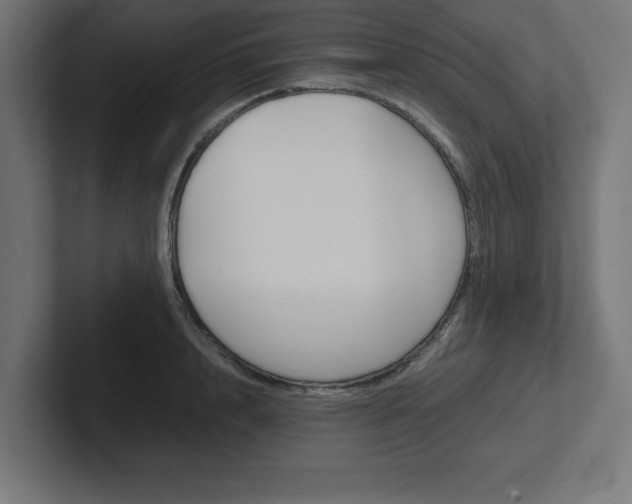 X0000102390848200808010933