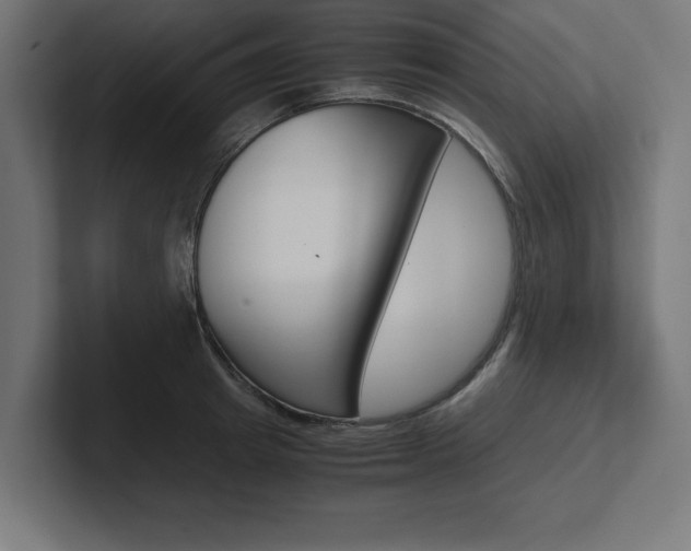 X0000102390849200808010933