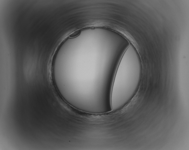X0000102390850200808010933