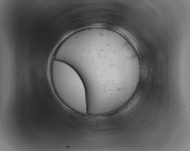 X0000102390851200808010933
