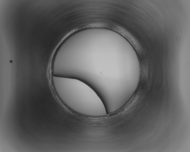 X0000102390852200808010933
