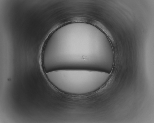 X0000102390853200808010933