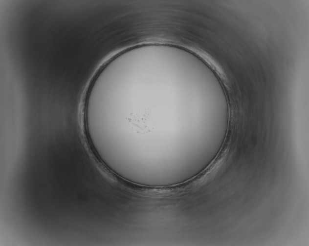 X0000102390854200808010933