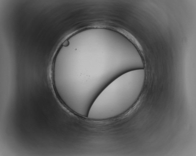 X0000102390855200808010933