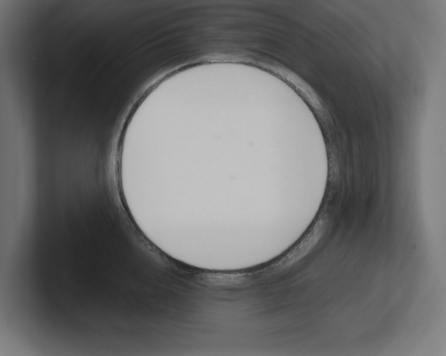 X0000102390856200808010933