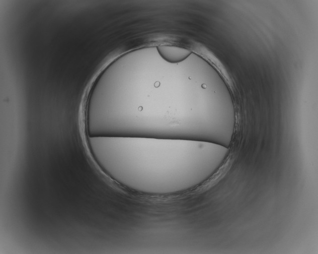 X0000102390859200808010933