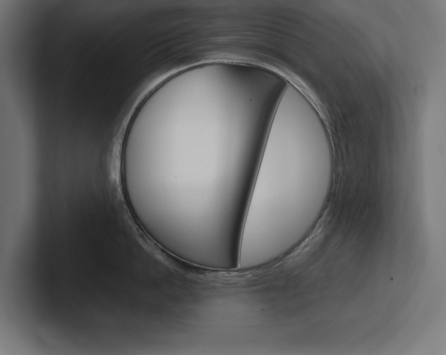 X0000102390862200808010933