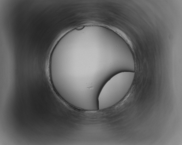 X0000102390863200808010933