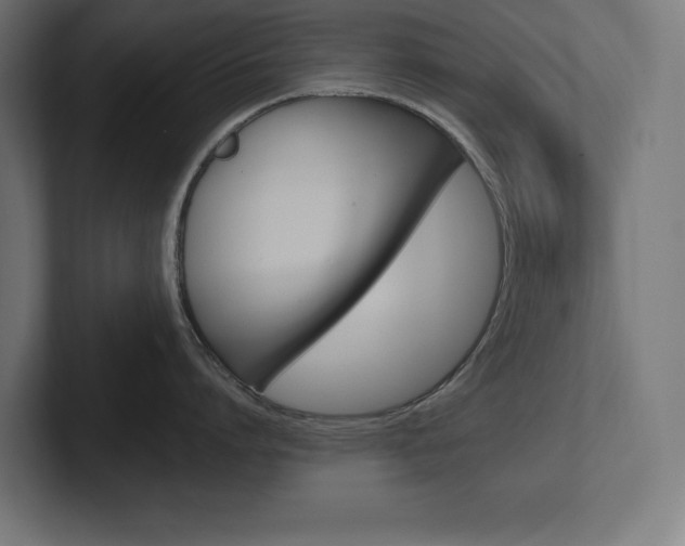 X0000102390864200808010933