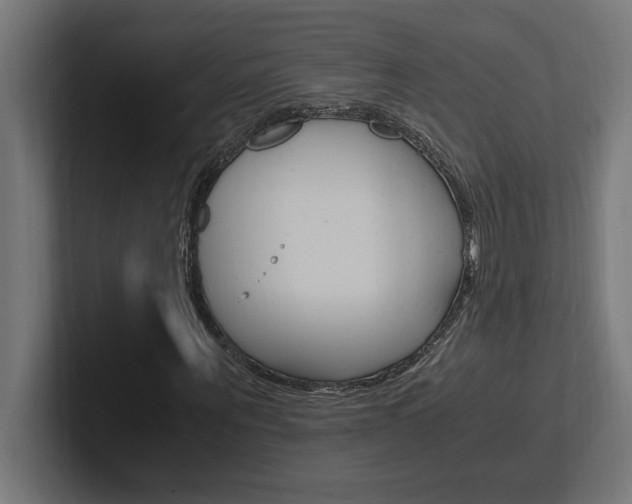 X0000102390867200808010932