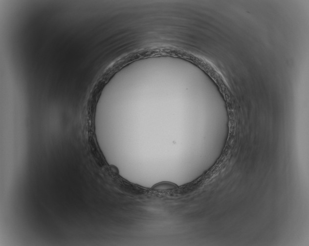 X0000102390871200808010932